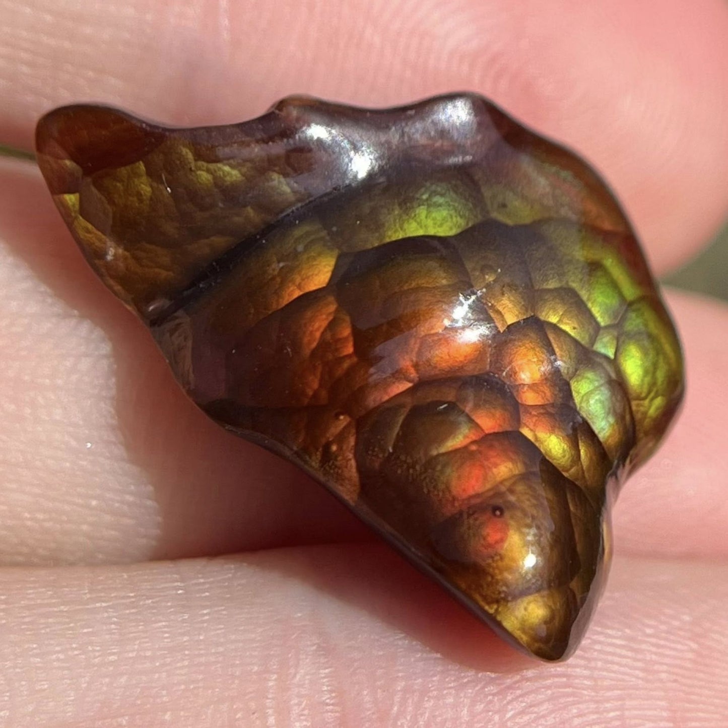 Multicolored Deer Creek Fire Agate Gemstone held between fingers with a blurred background