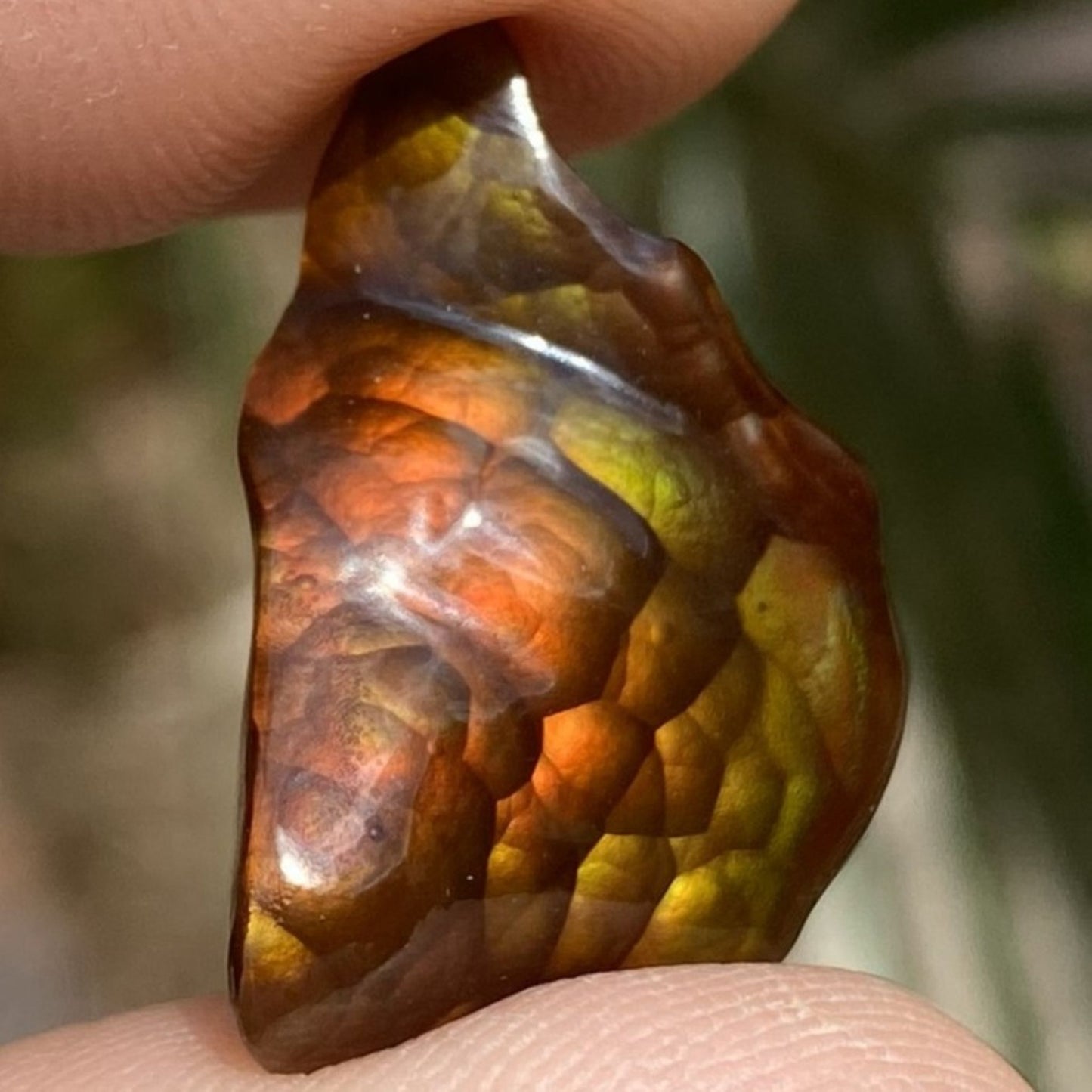 Polished multicoloredDeer Creek Fire Agate Gemstone held between fingers with a blurred natural background