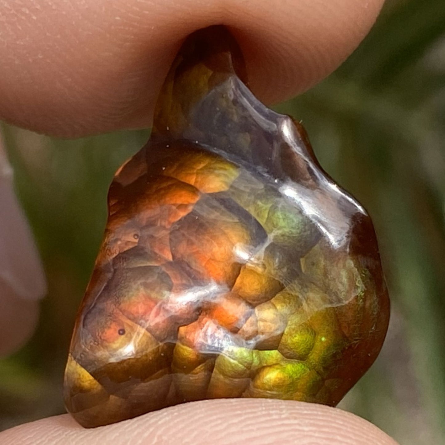 Multicolored Deer Creek Fire Agate Gemstone held between fingers with a blurred natural background