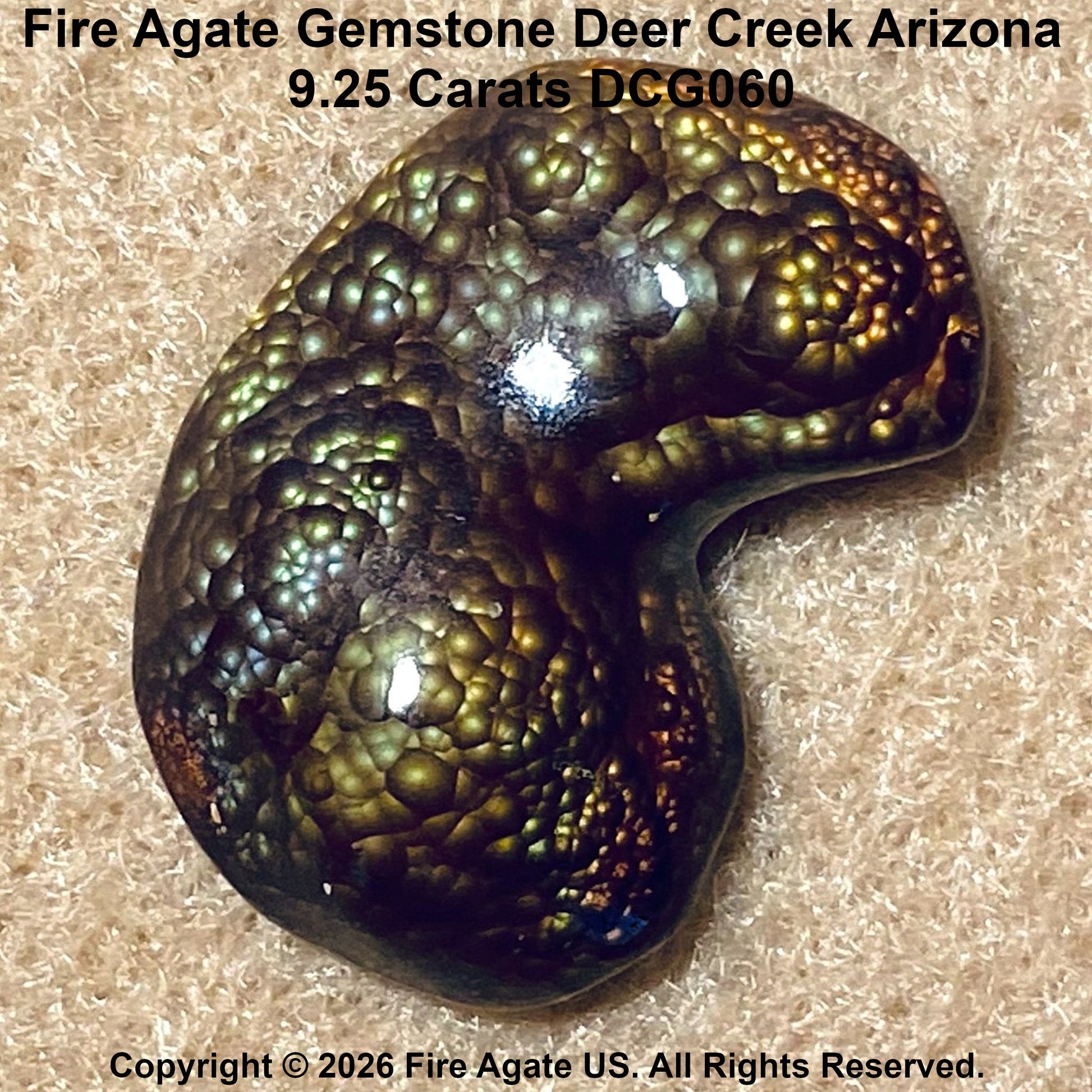 A polished Fire Agate gemstone with a kidney-like shape, featuring a textured, bubbled surface with iridescent green, gold, and bronze tones. The stone is photographed on a beige textured background with text overlays identifying it as 'Fire Agate Gemstone Deer Creek Arizona'.