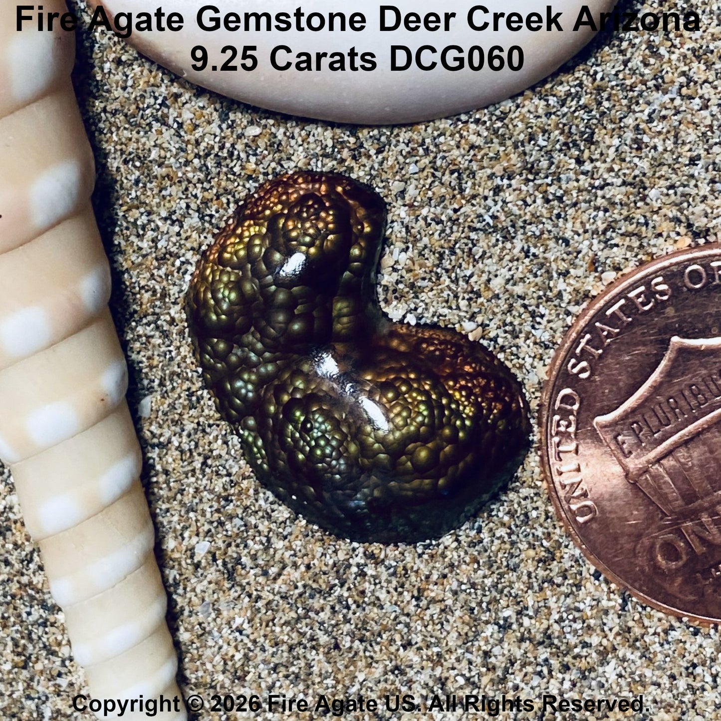 A 9.25 carat Fire Agate gemstone with a green and bronze pinfire bubble texture, displayed on sand next to a penny for scale and a striped shell.