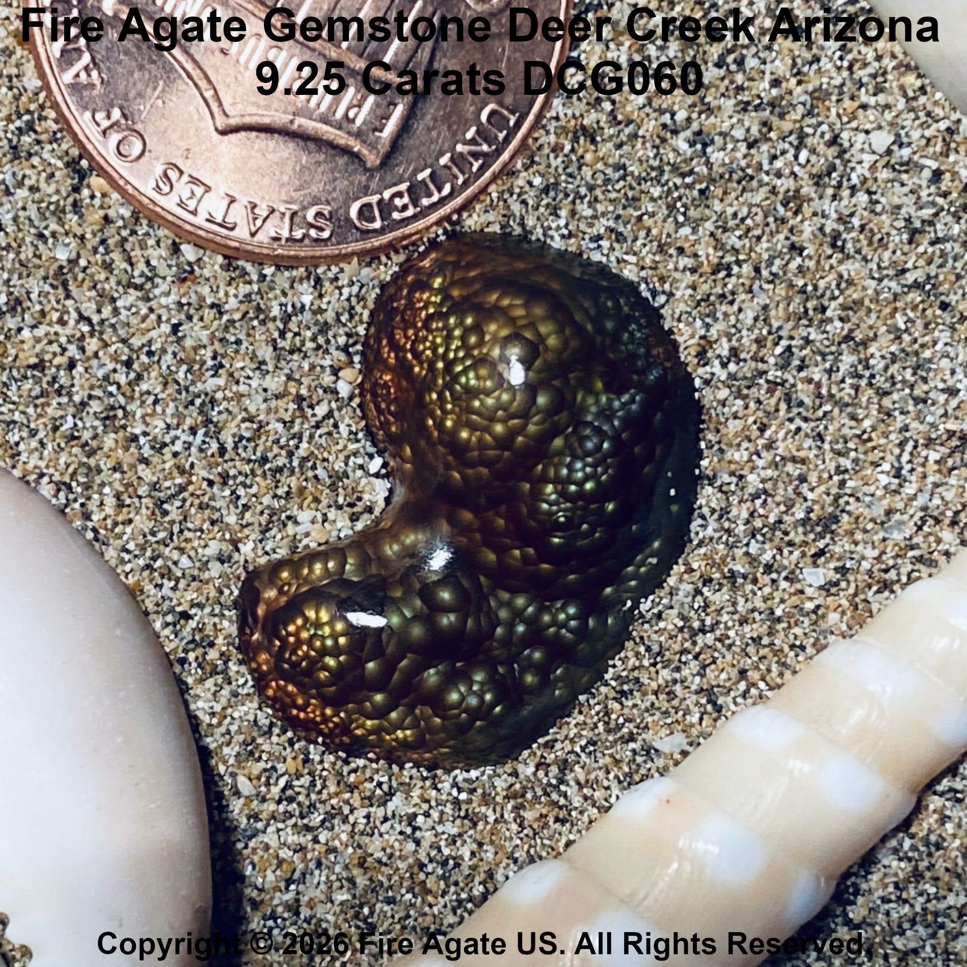 A close-up of a polished fire agate gemstone with a green and golden iridescent surface, placed on sand next to a US penny for scale and a conch shell. Text at the top reads 'Fire Agate Gemstone Deer Creek Arizona'.