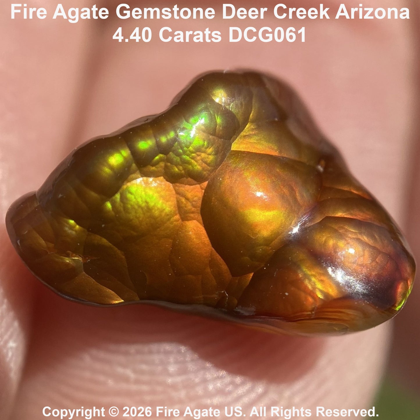 A 4.40 carat Fire Agate gemstone held in a hand, showcasing its vibrant golden-brown body with iridescent green and orange flashes.