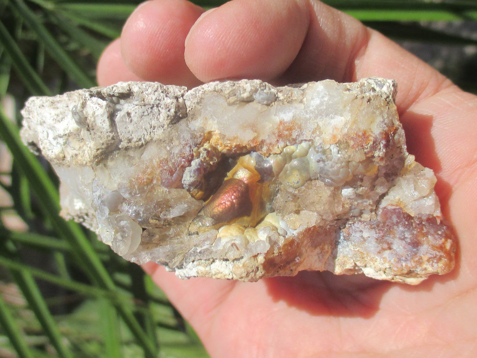 Hand holding a Deer Creek Fire Agate Gemstone Mineral Specimen with greenery in the background