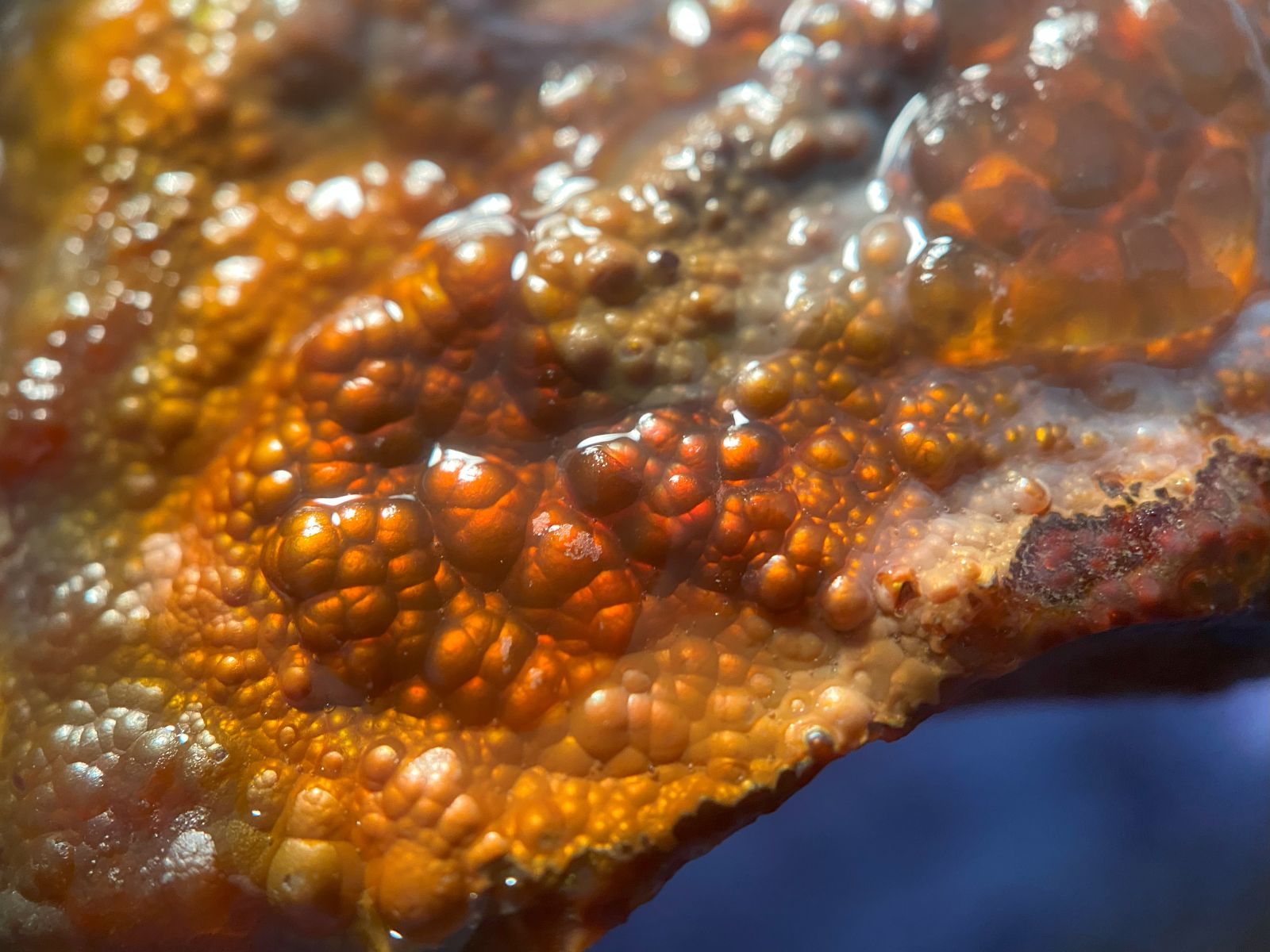 Deer Creek Fire Agate Specimen