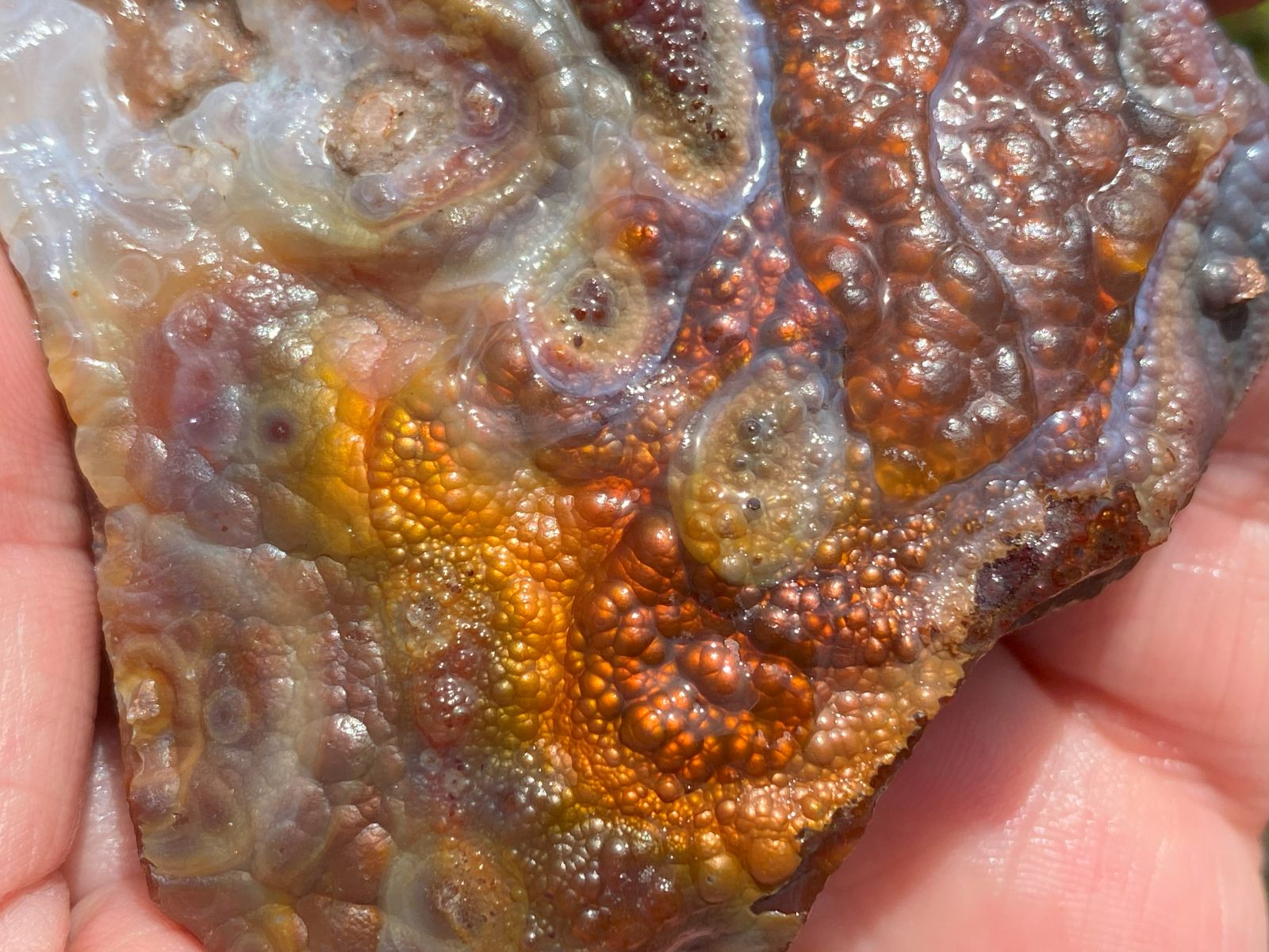 Deer Creek Fire Agate Specimen