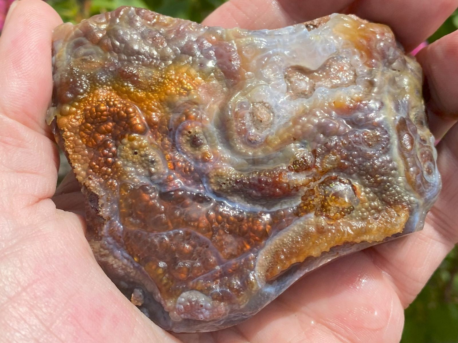 Deer Creek Fire Agate Specimen 
