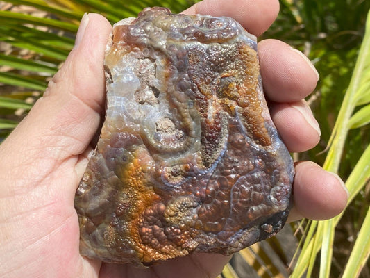Deer Creek Fire Agate Specimen 