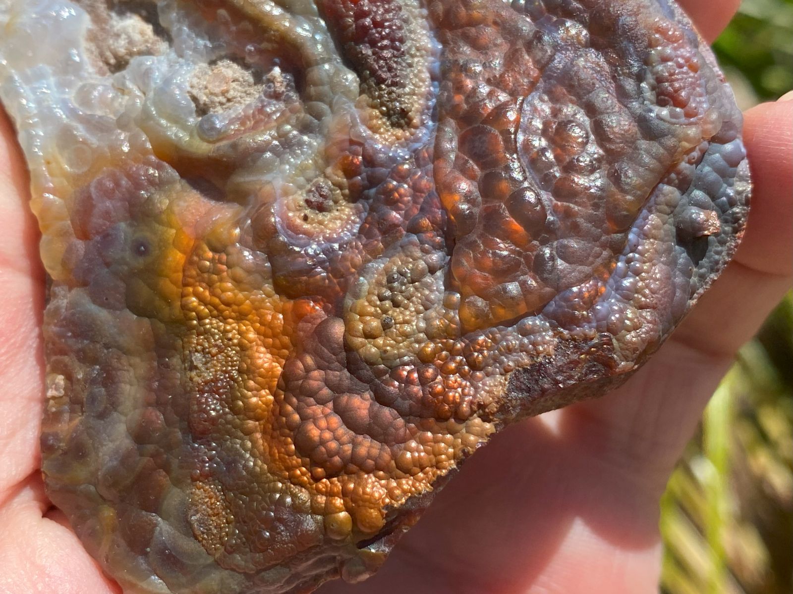Deer Creek Fire Agate Specimen