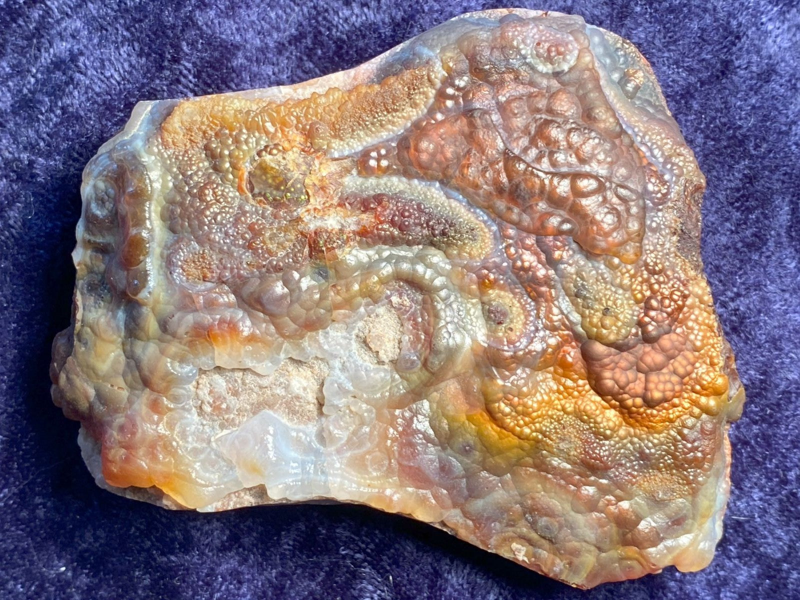 Close-up of a Deer Creek Fire Agate Specimen on a purple background