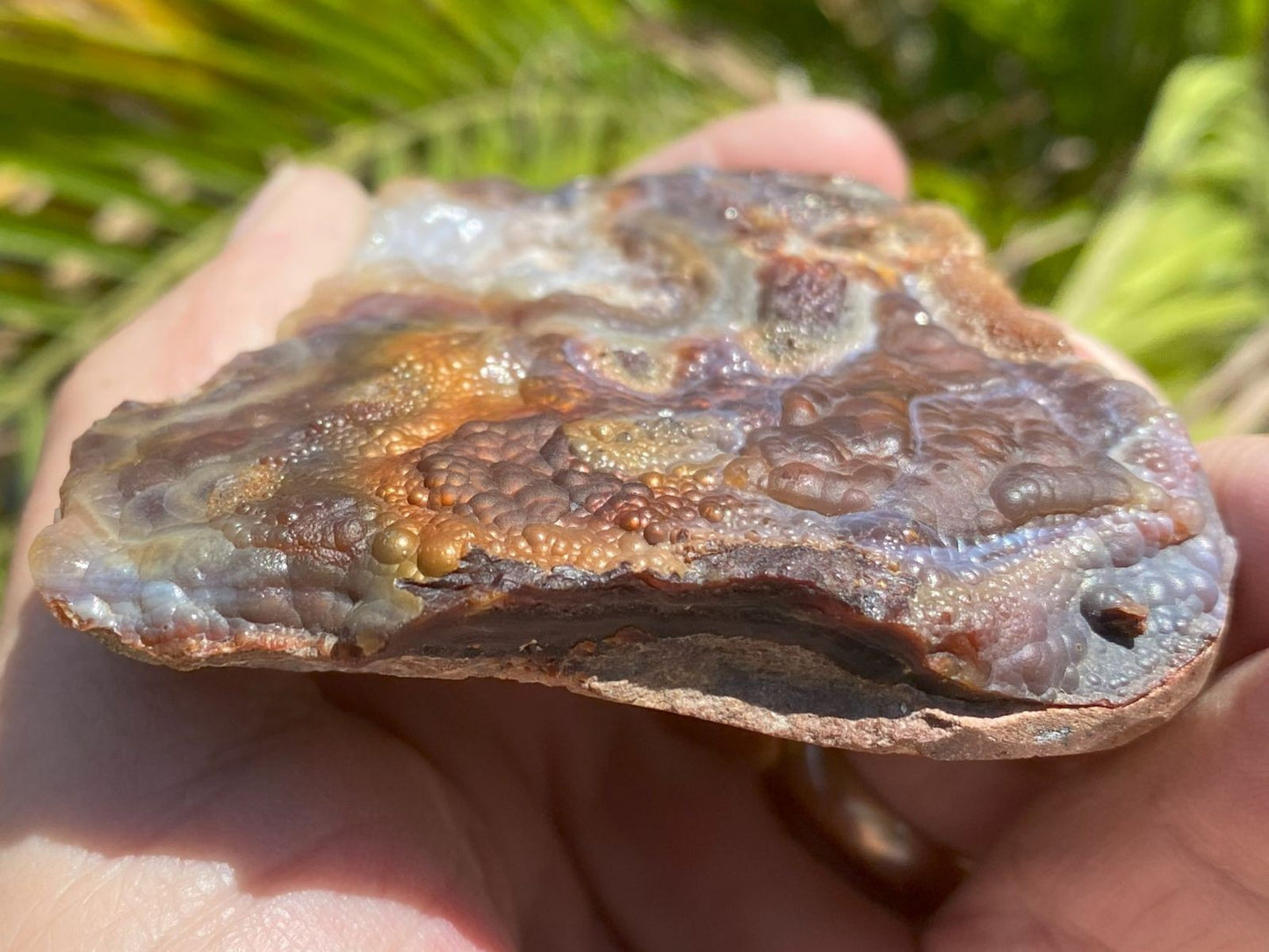 Close-up of a hand holding a large, Deer Creek Fire Agate Specimen with a natural outdoor background.