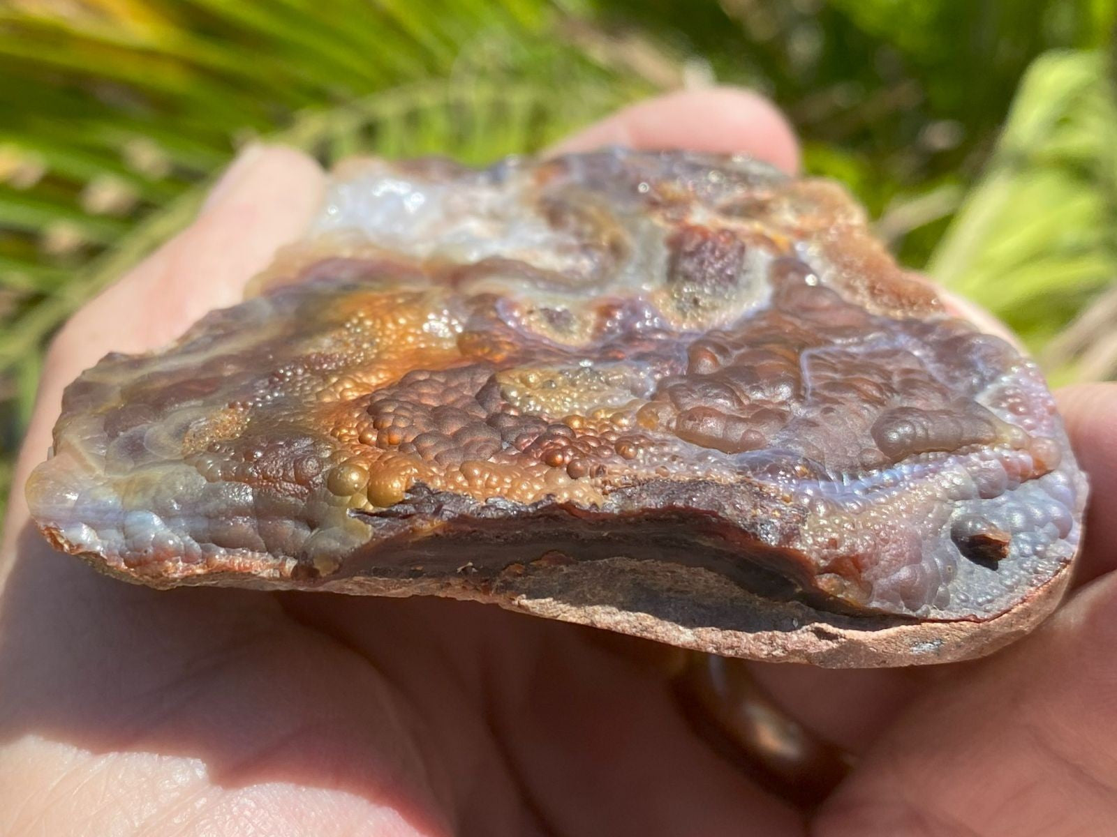 Close-up of a hand holding a large, Deer Creek Fire Agate Specimen with a natural outdoor background.