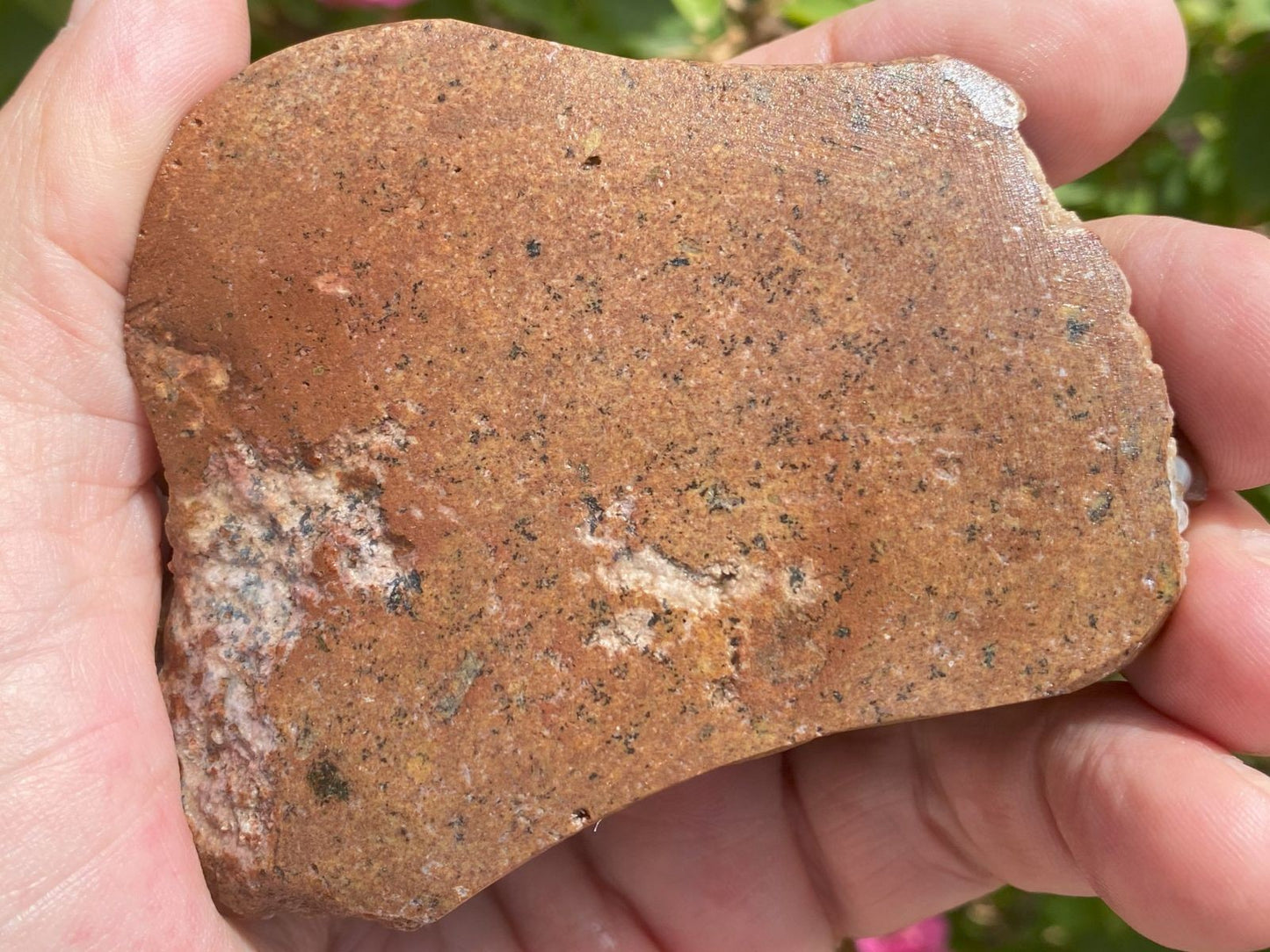 Deer Creek Fire Agate Specimen