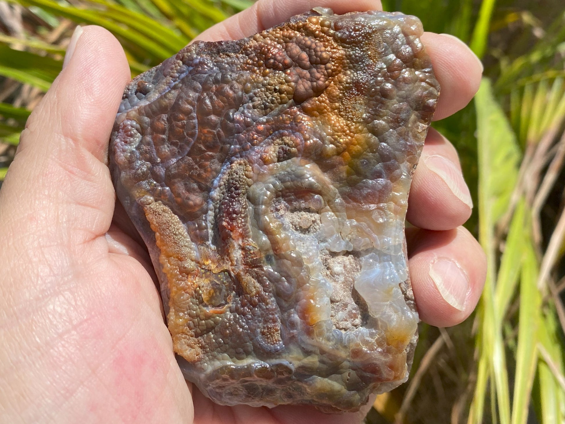 Deer Creek Fire Agate Specimen