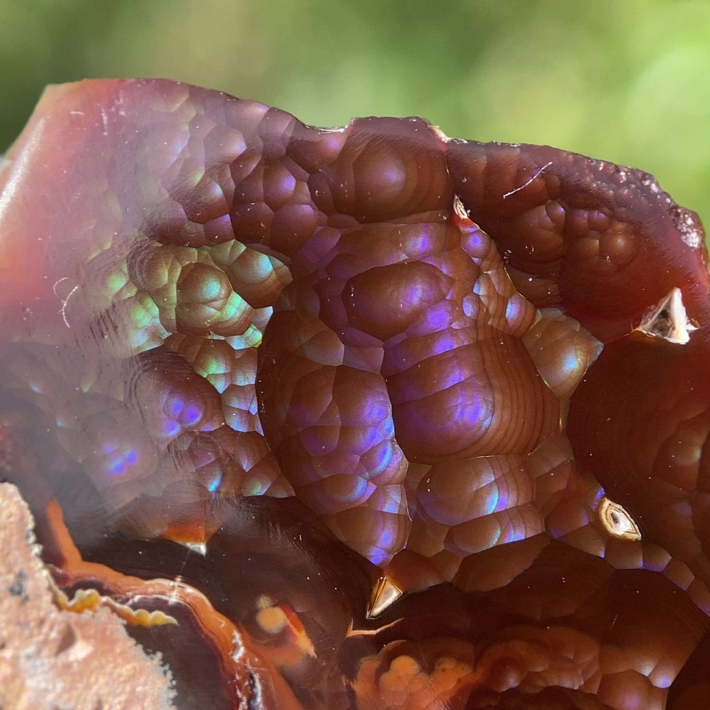 Close-up of a colorful, textured windowed Deer Creek fire agate rough mineral display specimen with iridescent properties.