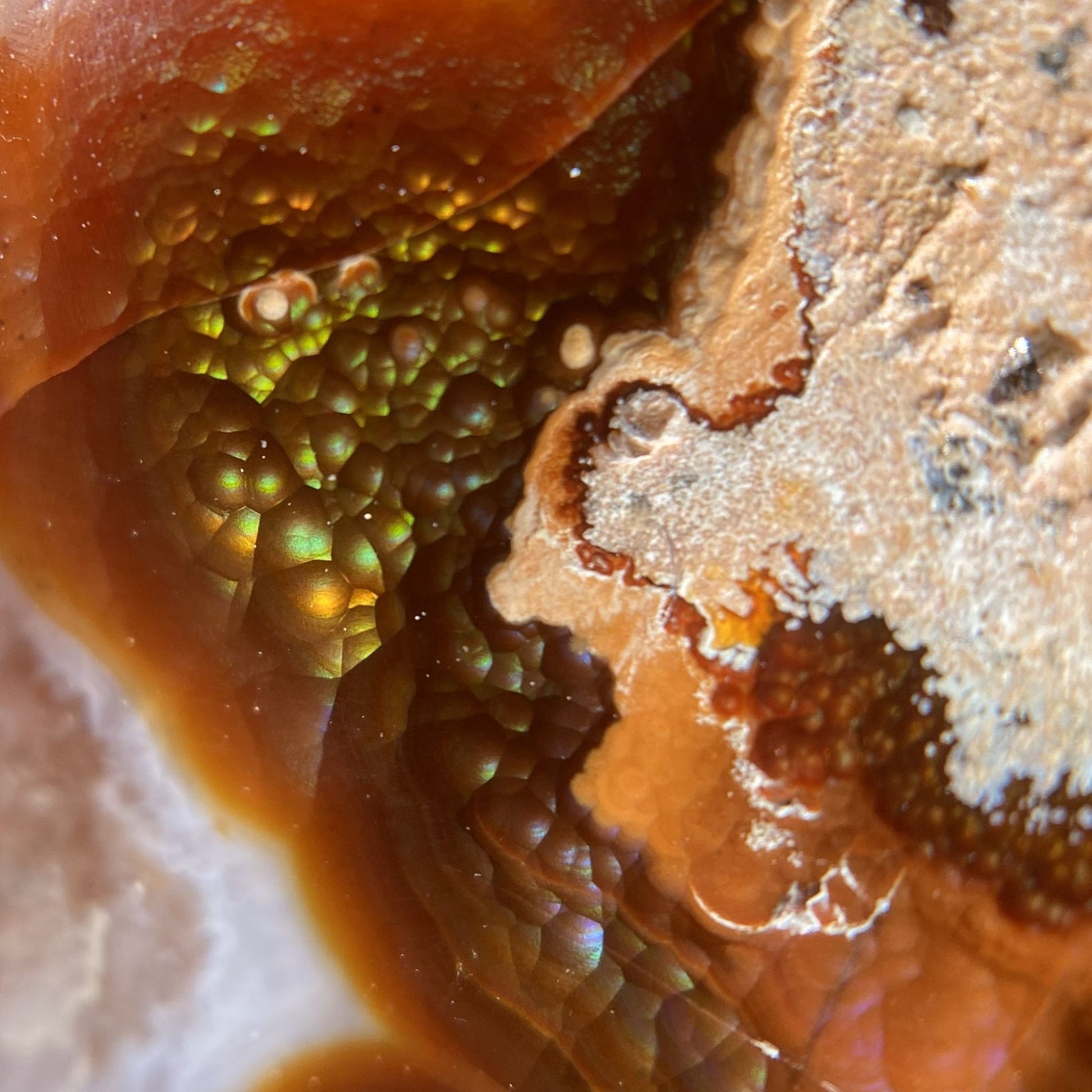 Close-up of a textured surface of a windowed Deer Creek fire agate rough mineral display specimen with brown and green colors