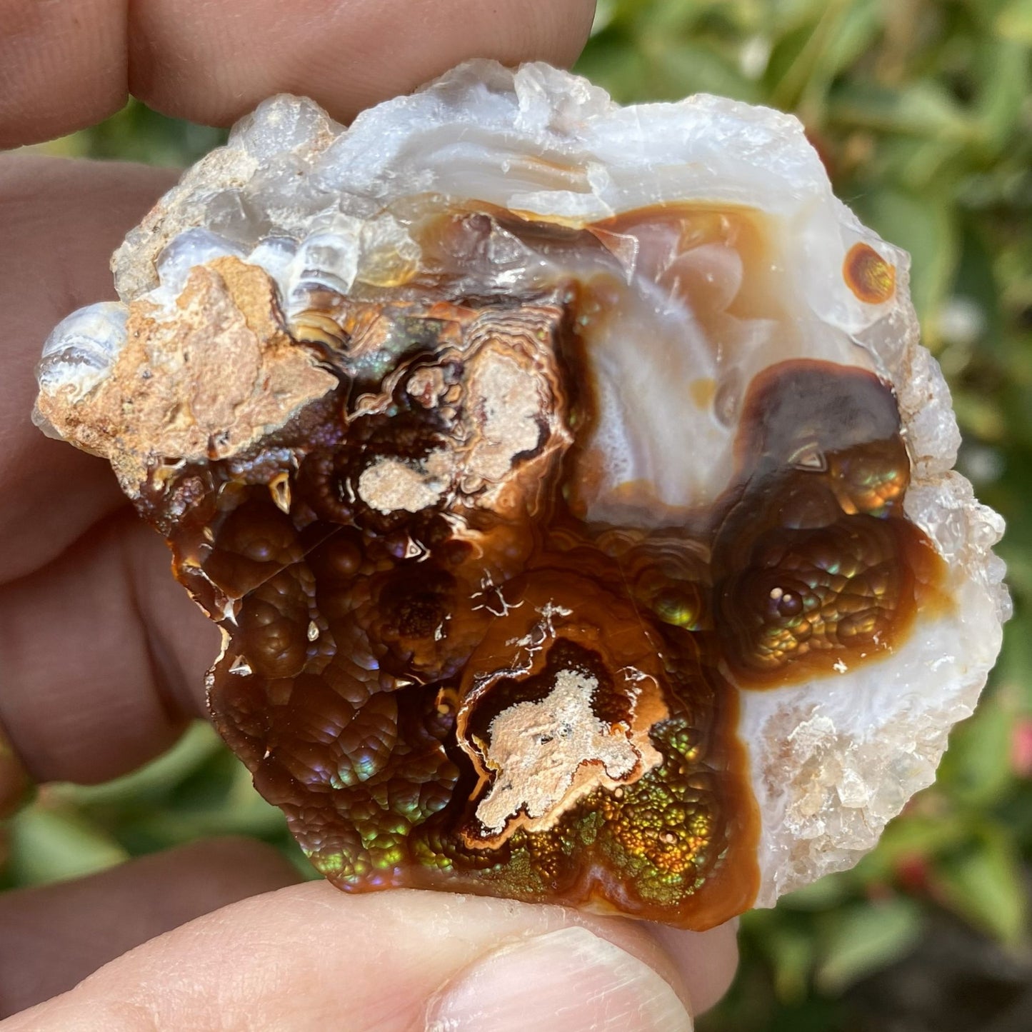 Close-up of a hand holding a rough, multicolored fire agate crystal rock with a blurred natural background.