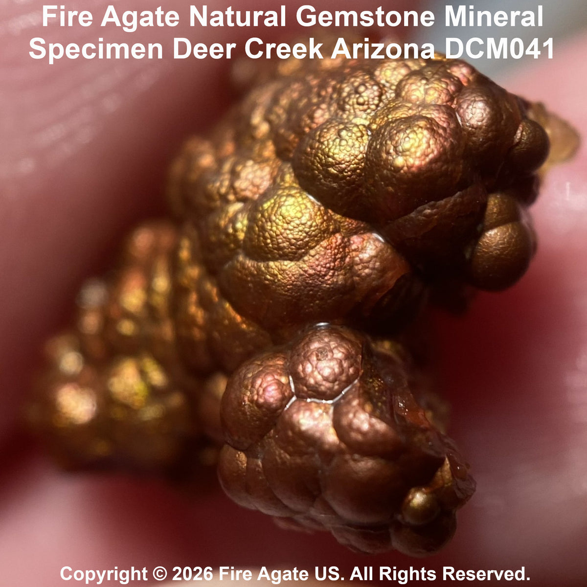 Close-up of a metallic coppery-brown fire agate gemstone specimen held against skin, with text reading 'Fire Agate Natural Gemstone Mineral Specimen Deer Creek Arizona DCM041' and copyright text for Fire Agate US.
