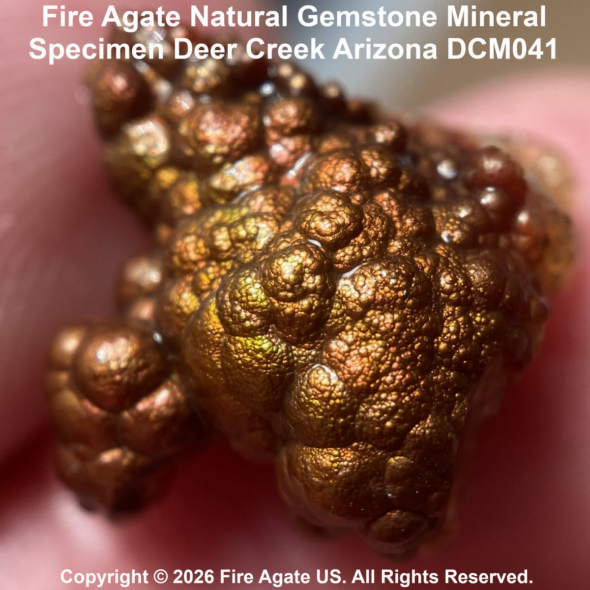 Close-up of a textured fire agate gemstone specimen with metallic copper-brown and gold iridescent surfaces, held against a pink background. Text at the top reads 'Fire Agate Natural Gemstone Mineral Specimen Deer Creek Arizona DCM041' and copyright text appears at the bottom.
