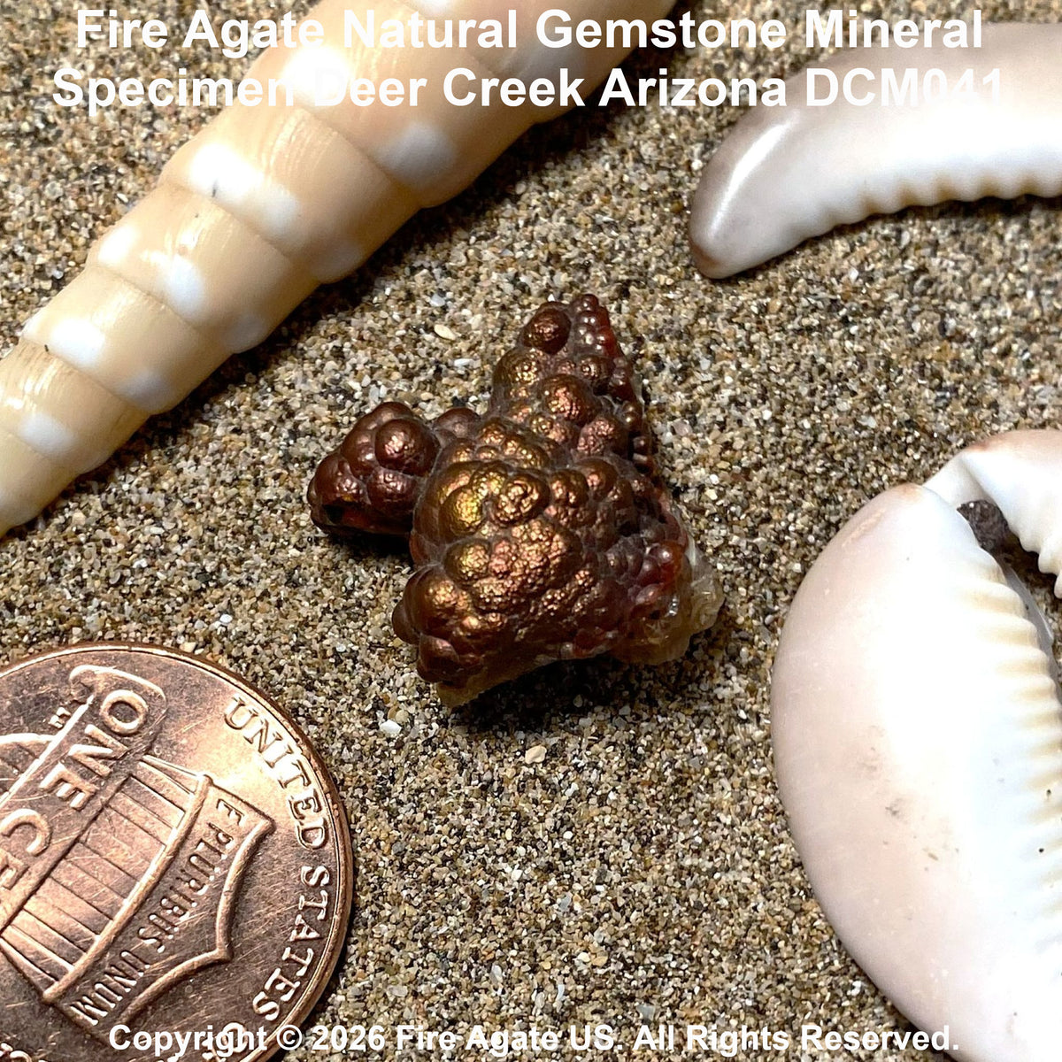 A close-up of a Fire Agate natural gemstone mineral specimen on sand, shown next to a penny for scale, with seashell-like props around it. Text at the top reads 'Fire Agate Natural Gemstone Mineral Specimen Deer Creek Arizona DCM041' and a copyright notice for Fire Agate US is at the bottom.