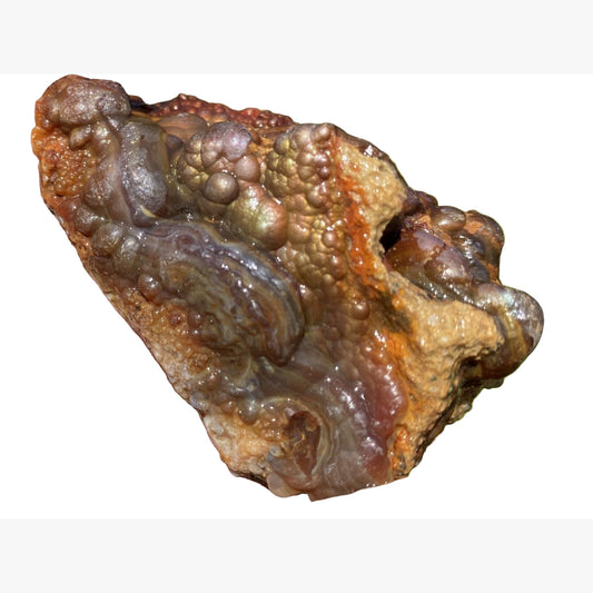 Close up of a high grade piece of Deer Creek Fire Agate rough on a white background