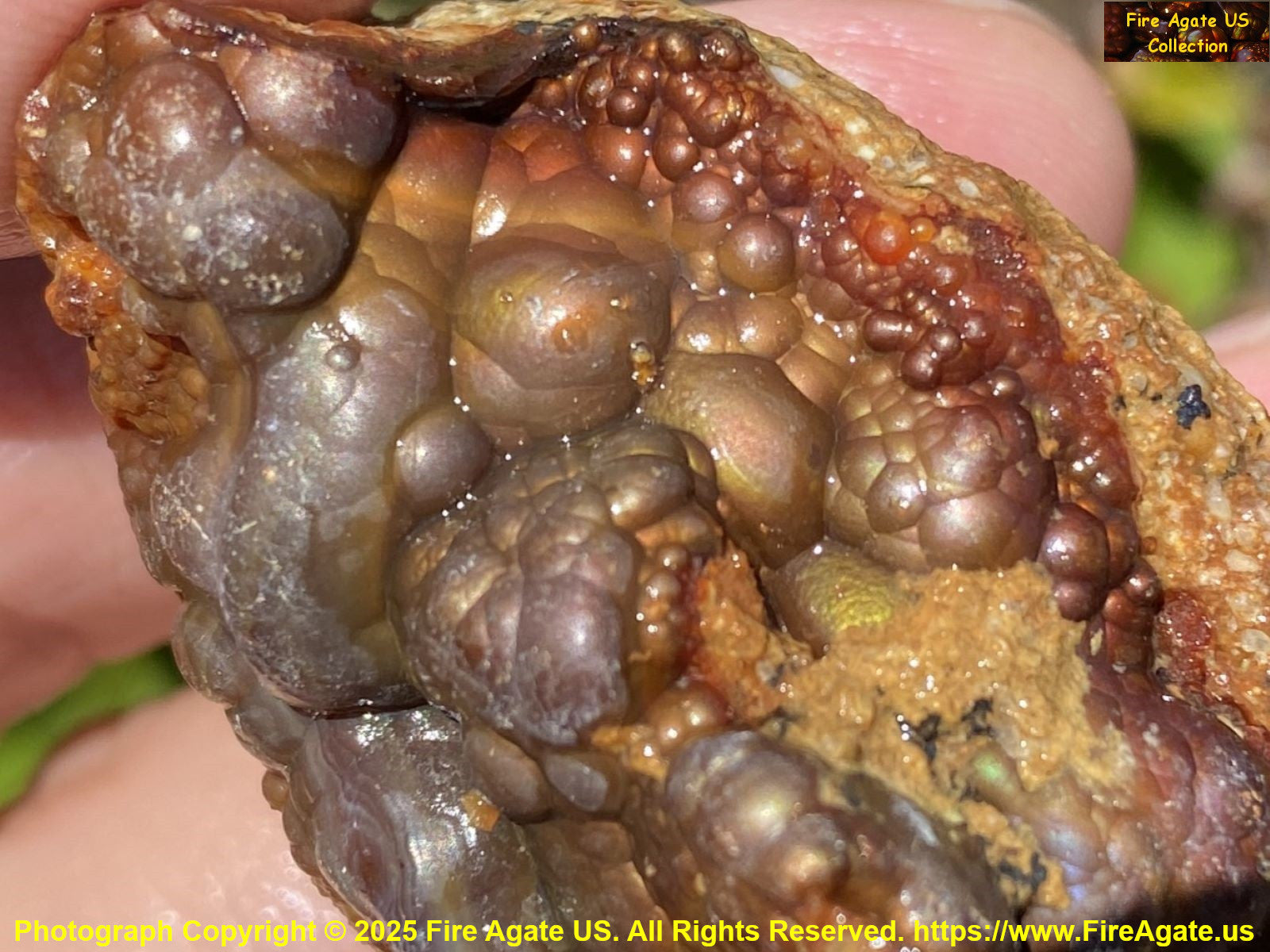 Close-up of a high grade piece of Deer Creek fire agate rough held in hand