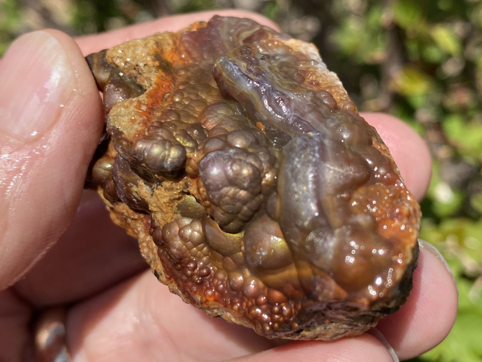Close-up of a hand holding a high grade Deer Creek fire agate mineral specimen with a natural outdoor background