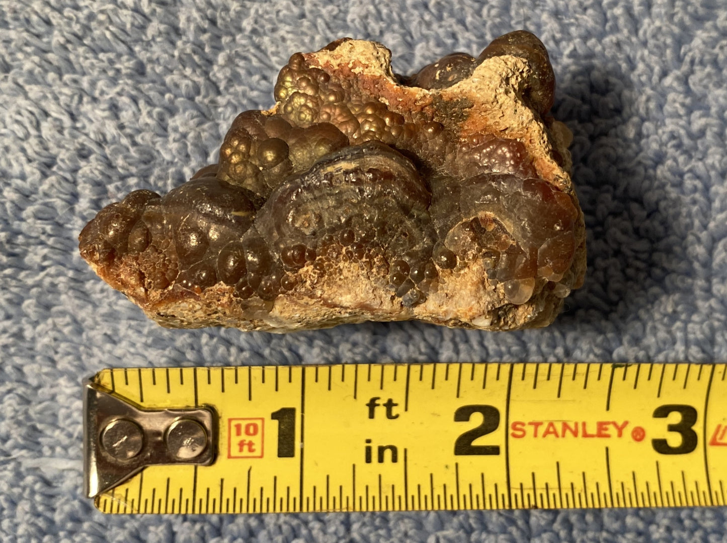 High grade Deer Creek fire agate stone next to a measuring tape on a textured blue background