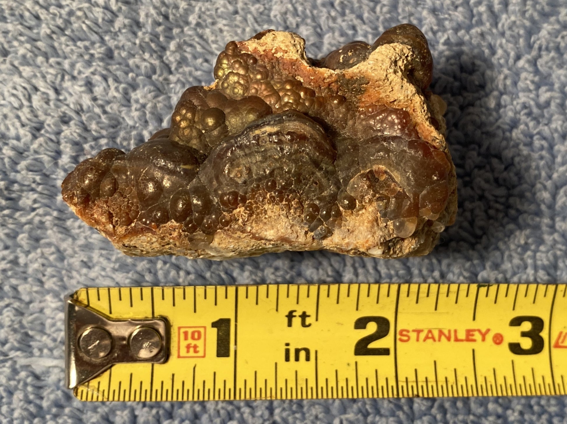High grade Deer Creek fire agate stone next to a measuring tape on a textured blue background