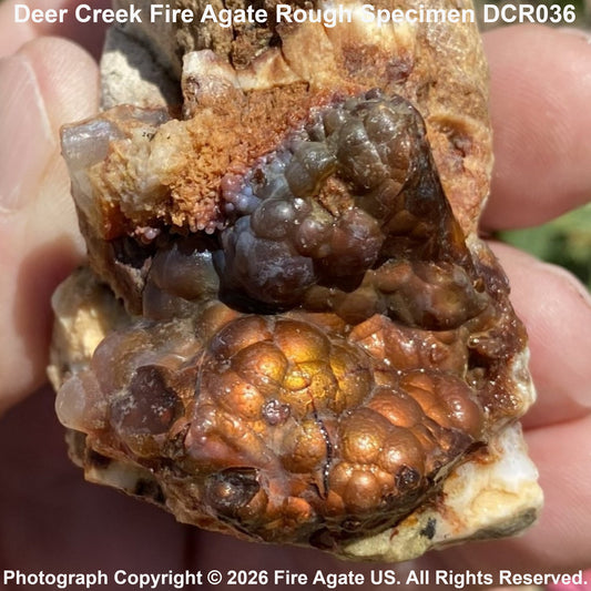 A hand holds a rough fire agate specimen with textured, bubble-like crystalline formations in earthy brown, amber, and dark gray tones. Text overlays show the specimen ID 'Deer Creek Fire Agate Rough Specimen DCR036' at the top and a copyright notice for 'Fire Agate US' at the bottom.