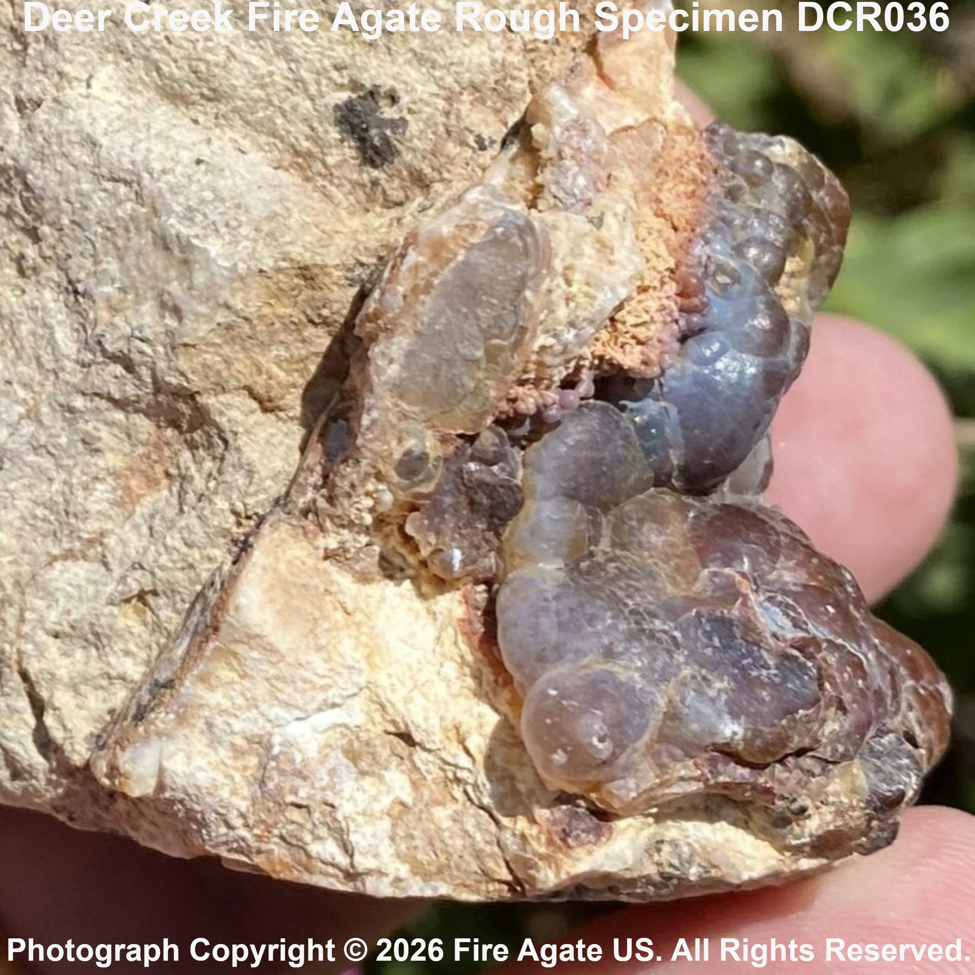 A hand holding a rough specimen of fire agate, showing translucent purple and smoky brown gemstone clusters set in a natural tan rock matrix. Text overlays identify the specimen as Deer Creek Fire Agate Rough Specimen DCR036 and credit Fire Agate US.