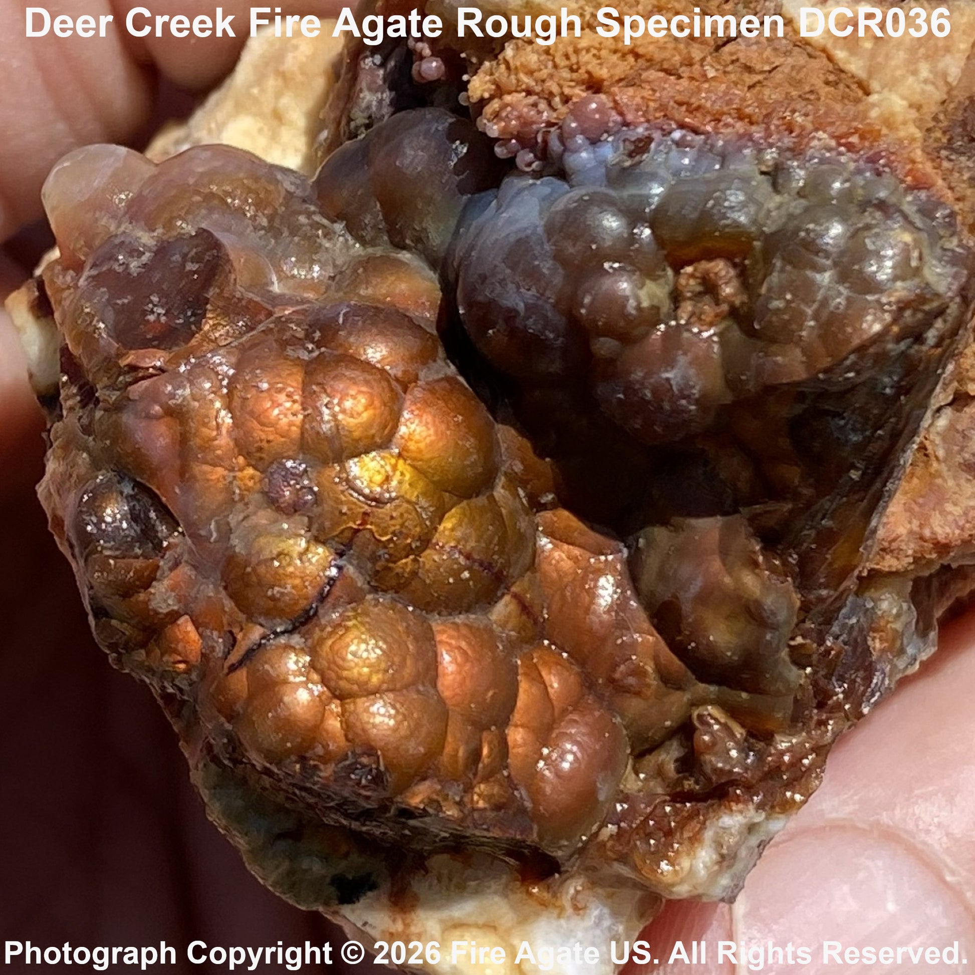 A close-up of a rough fire agate specimen held in hands, showing clustered coppery-brown and amber crystal formations with some darker translucent areas. Text at the top reads 'Deer Creek Fire Agate Rough Specimen DCR036' and there is a copyright watermark at the bottom.