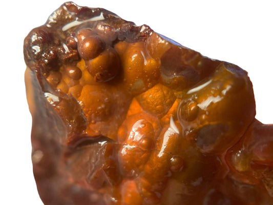 Close-up of a piece of Deer Creek Fire Agate Rough displaying orange fire