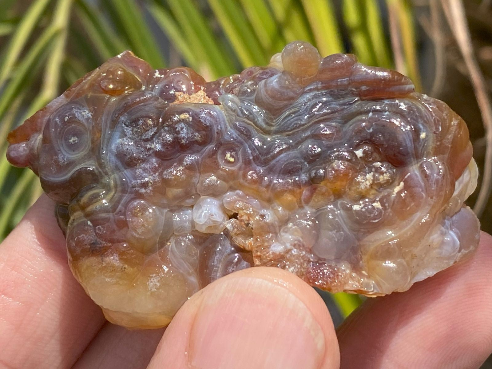 Close-up of a hand holding a rough, brownish crystal rock with a blurred natural background.