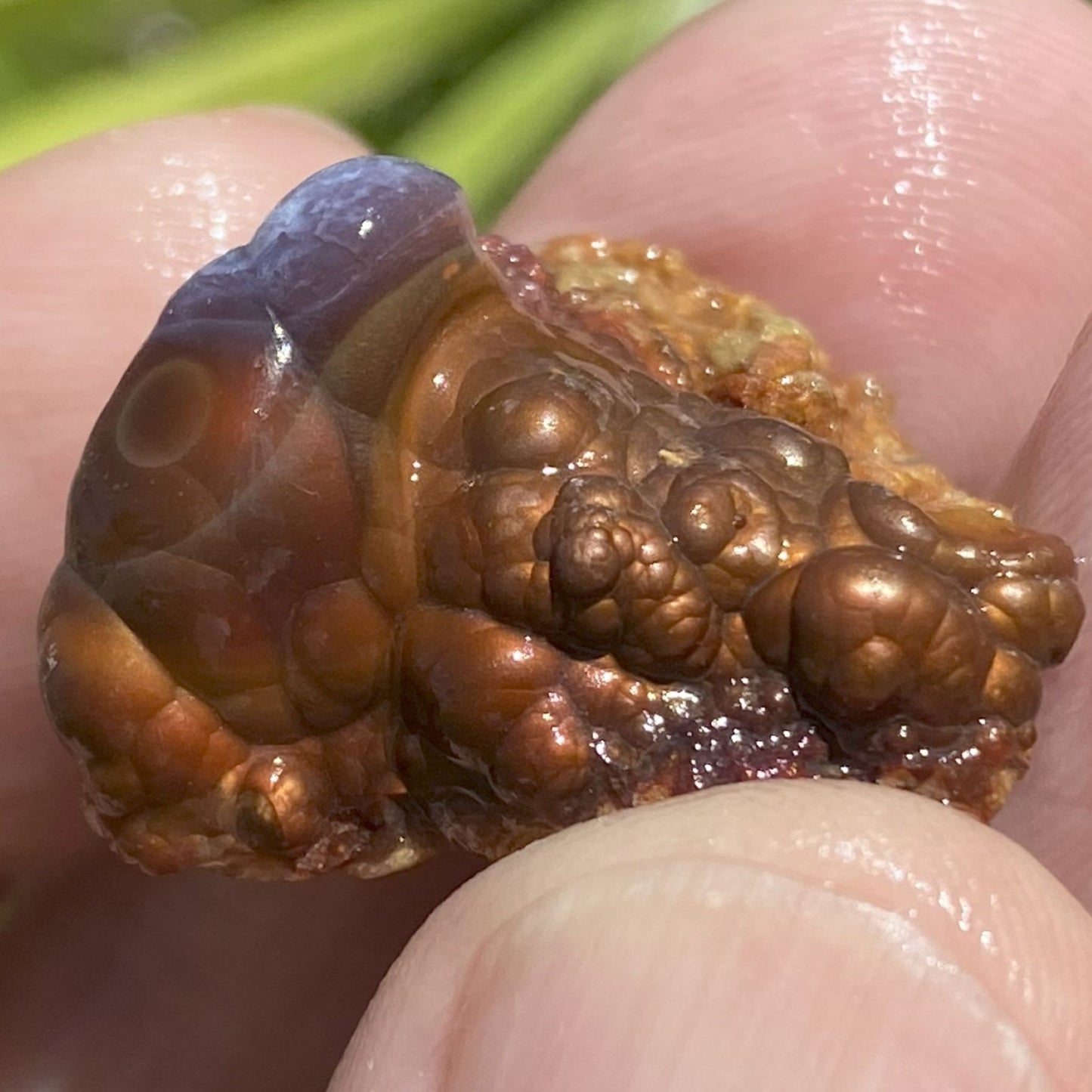 Close-up of a textured piece of Deer Creek fire agate rough held between fingers