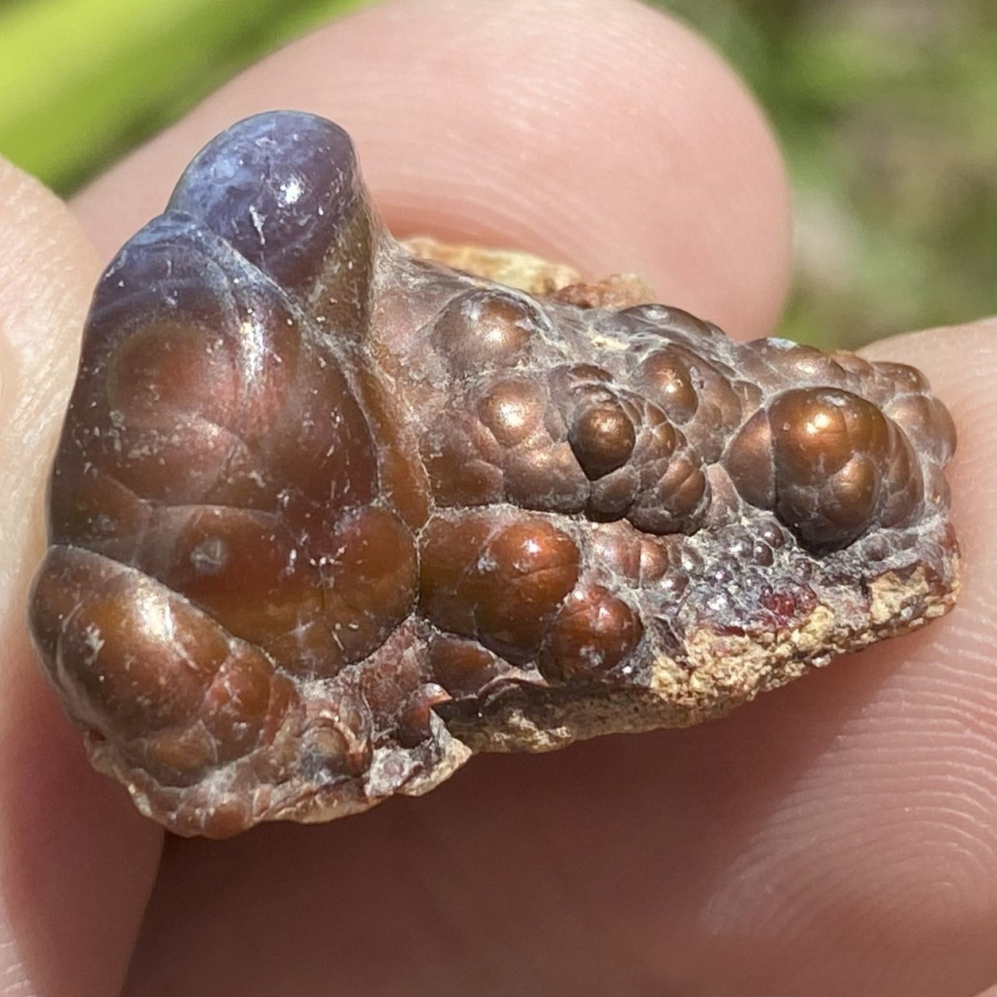 Close-up of a Deer Creek fire agate rough mineral stone held between fingers with a blurred green background