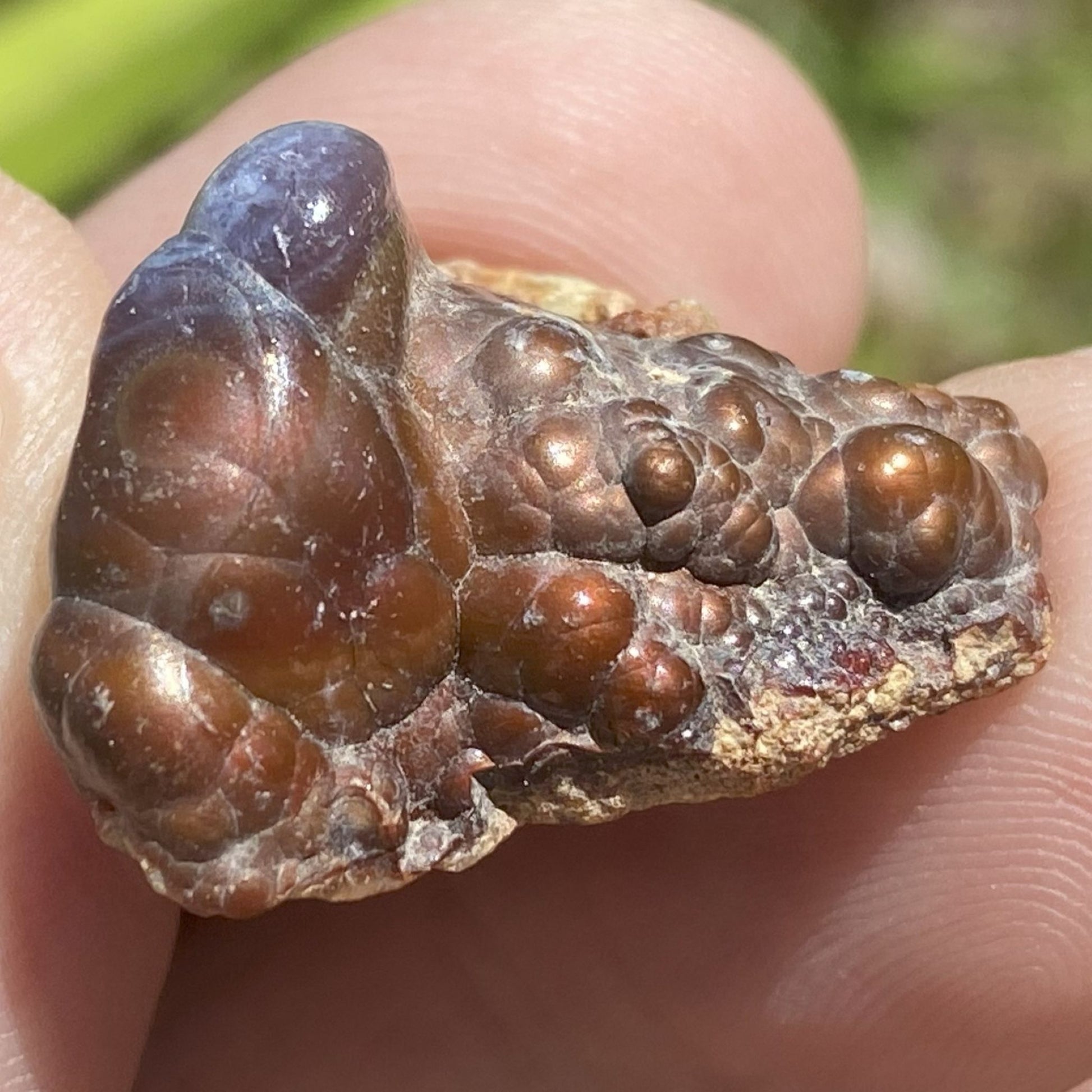 Close-up of a Deer Creek fire agate rough mineral stone held between fingers with a blurred green background