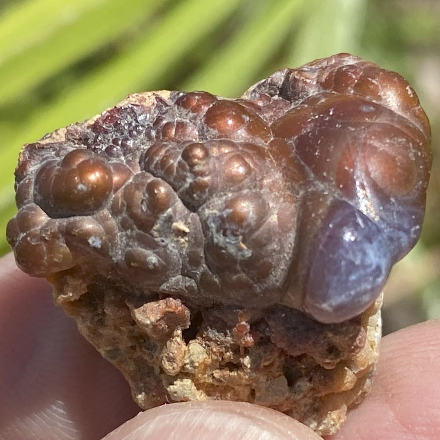 Close-up of a textured piece of Deer Creek fire agate rough held between fingers with a blurred natural background