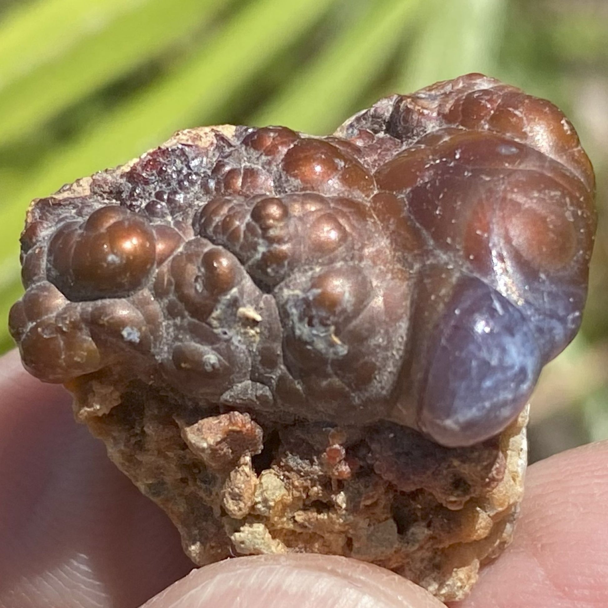 Close-up of a textured piece of Deer Creek fire agate rough held between fingers with a blurred natural background