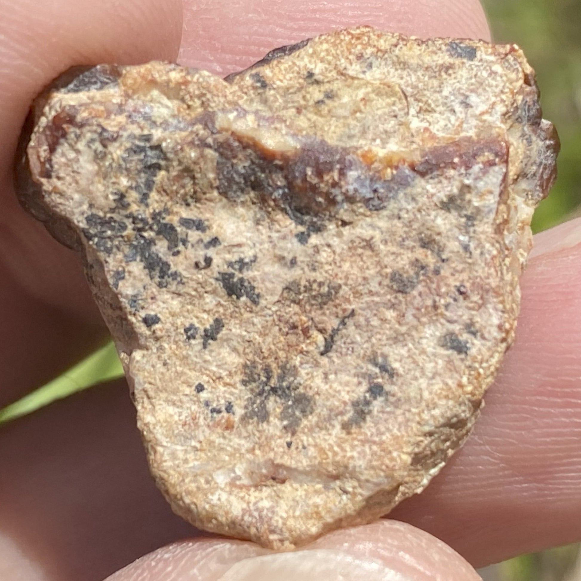 Close-up of a hand holding a rough-textured rock with visible minerals.