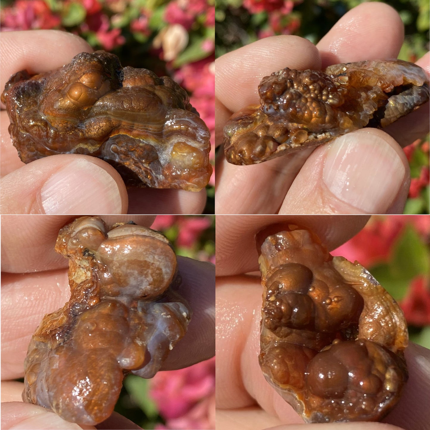 Collage of Deer Creek fire agate rough held between fingers with a blurred floral background