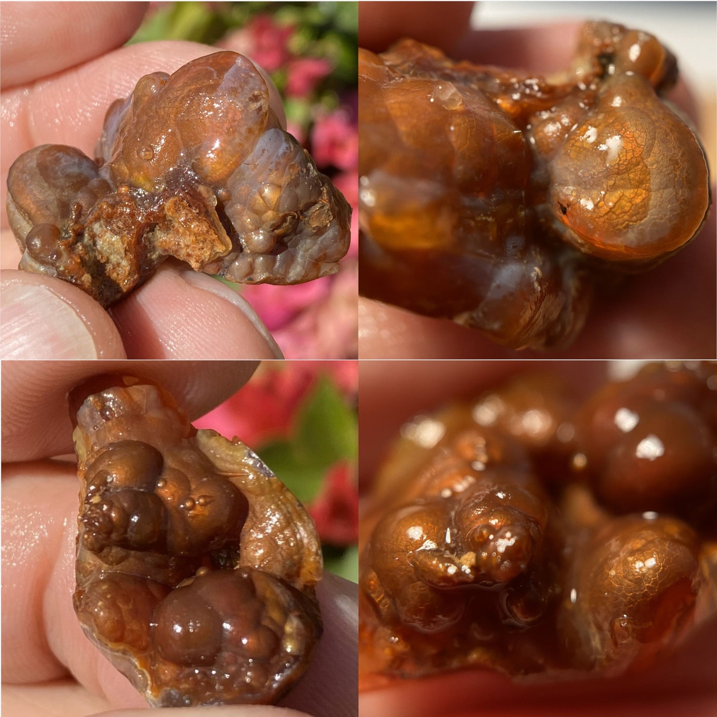 Close-up of Deer Creek fire agates held between fingers with a blurred floral background