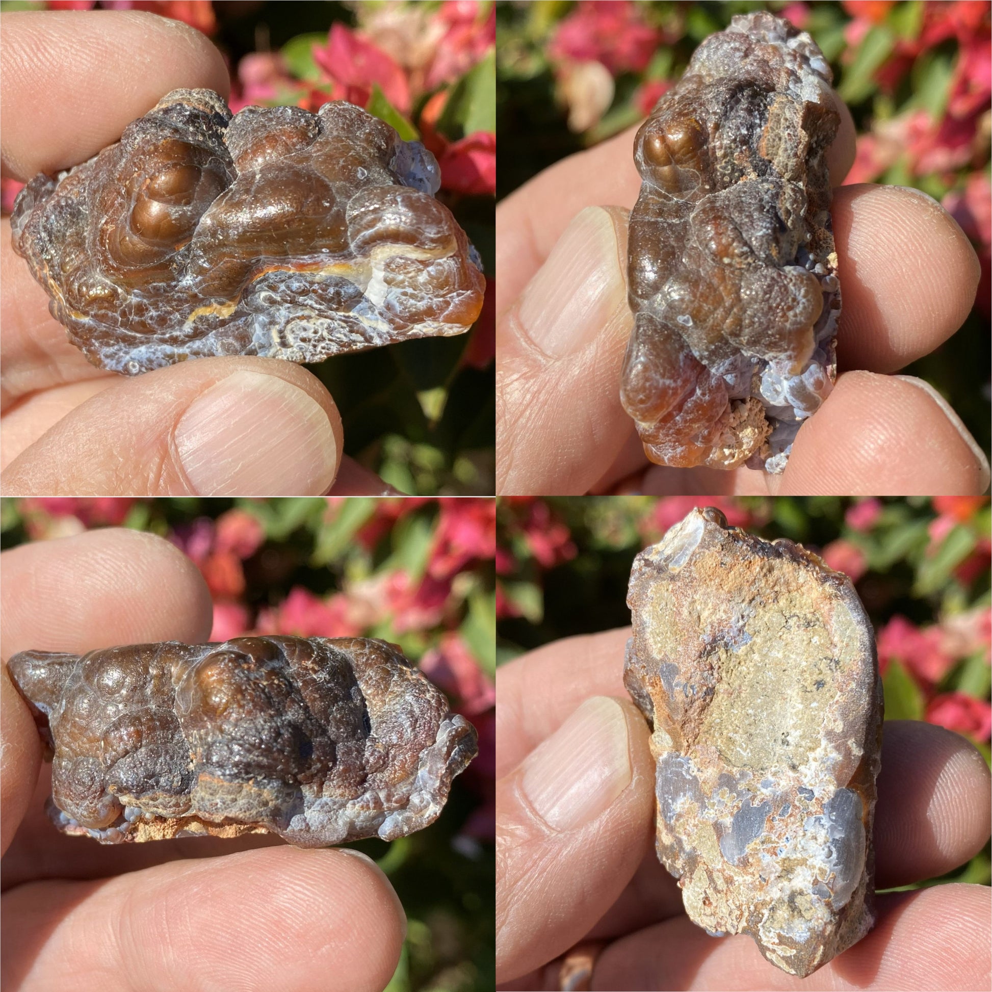 Close-up of a piece of Deer Creek fire agate rough held between fingers with a blurred natural background