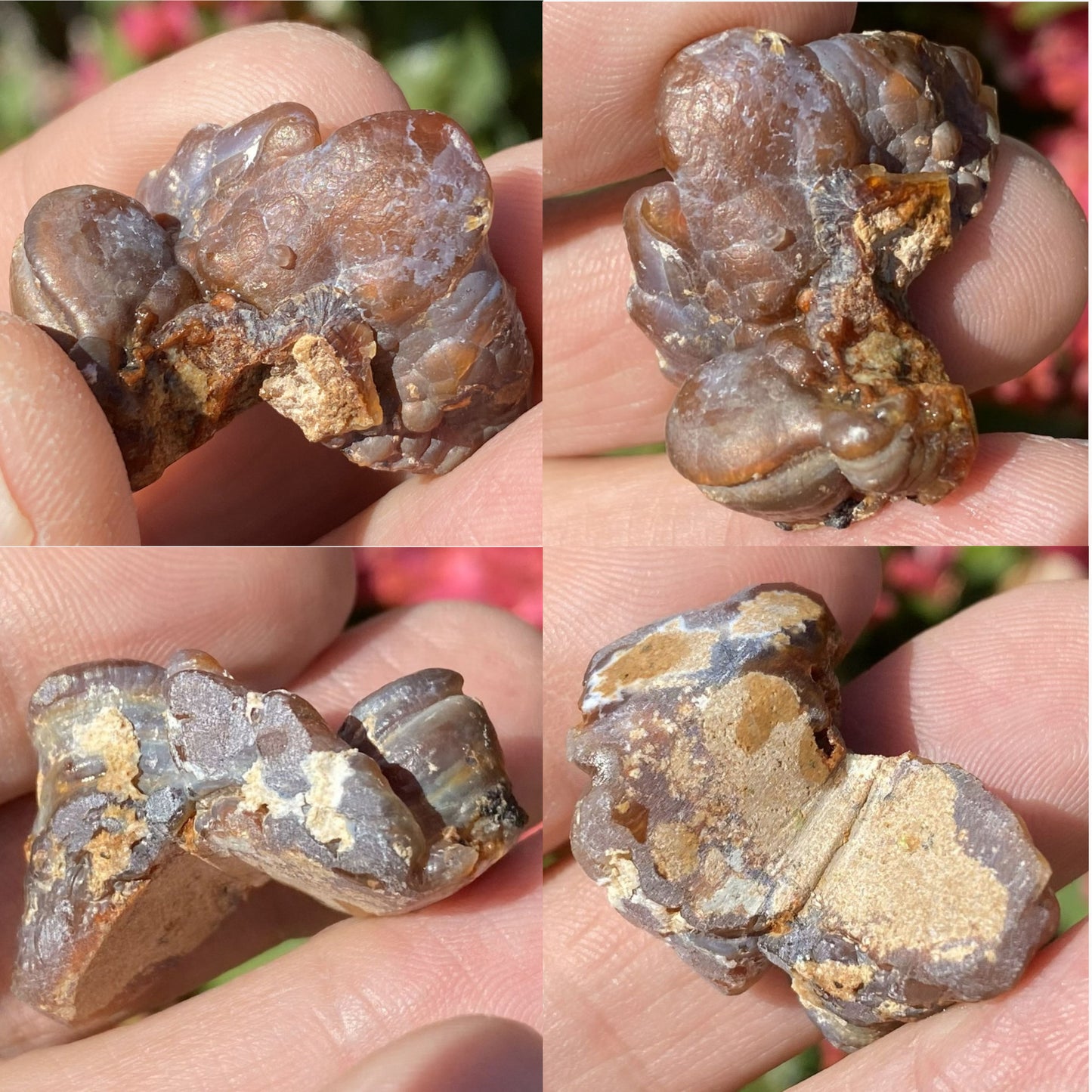 Four views of a fire agate rough gemstone held in a hand with a blurred natural background.
