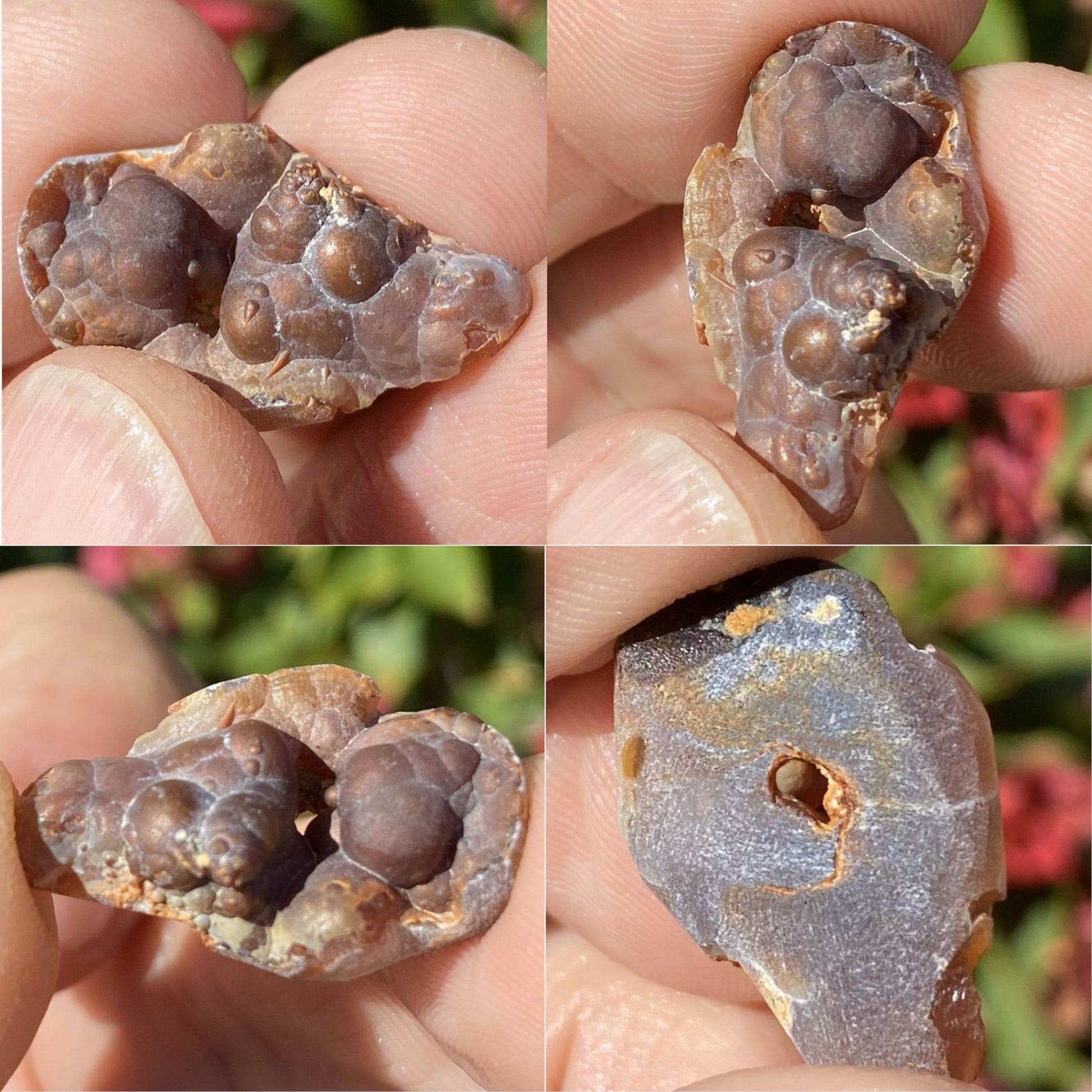 Close-up of a piece of Deer Creek fire agate rough held between fingers with a blurred natural background