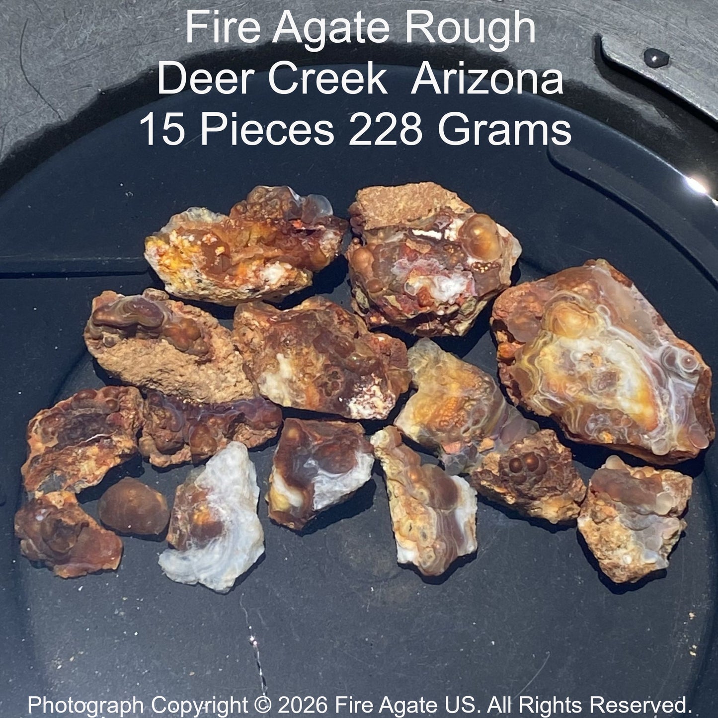 Fire Agate Rough from Deer Creek, Arizona in a water filled goldpan with text.