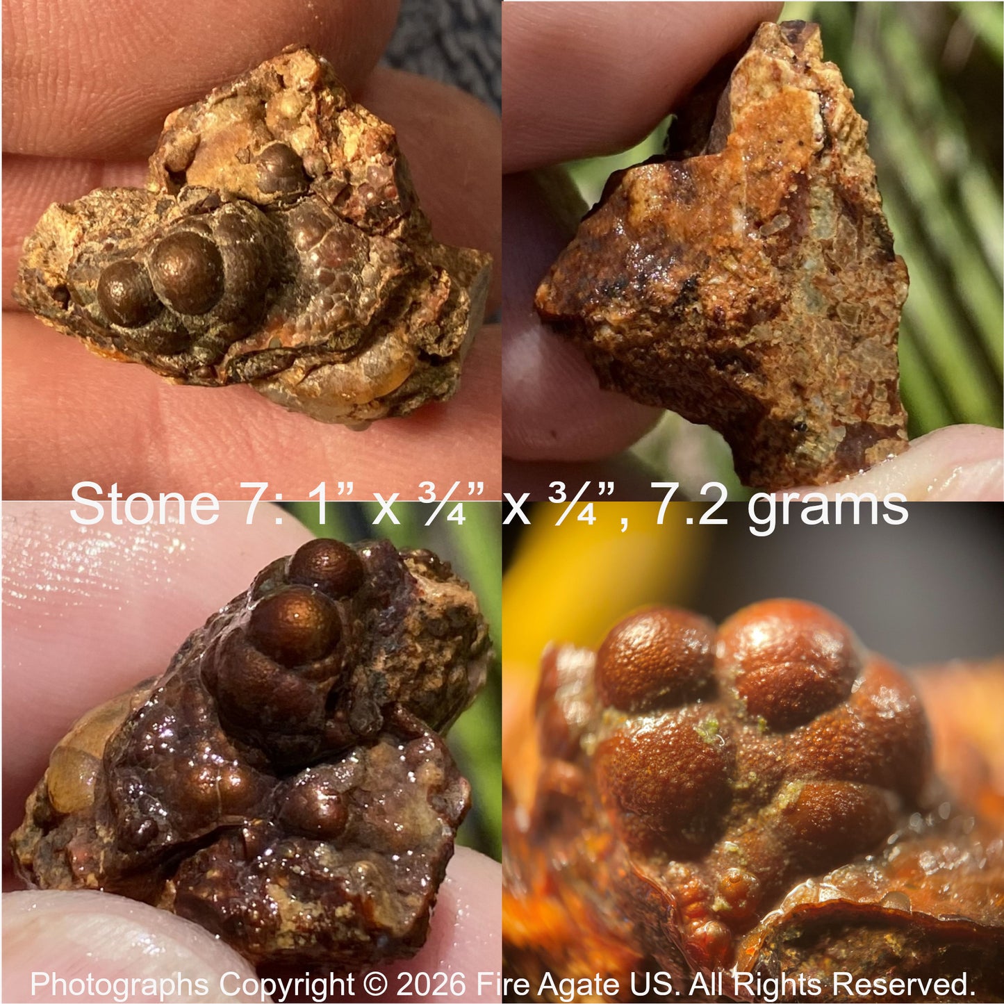 Close-up of a fire agate stone held in a hand with measurements displayed.