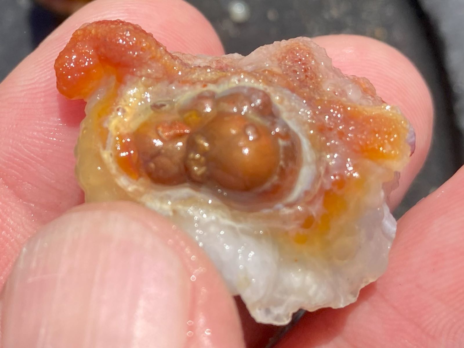 Close-up of a person holding a piece of Deer Creek fire agate rough with orange and brown colors.