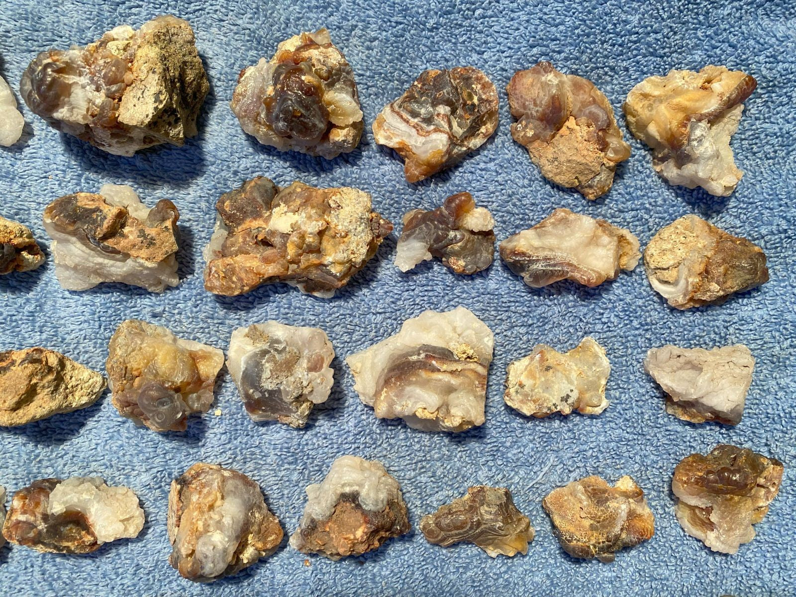 Collection of various sized and shaped pieces of Deer Creek fire agate rough on a textured blue surface