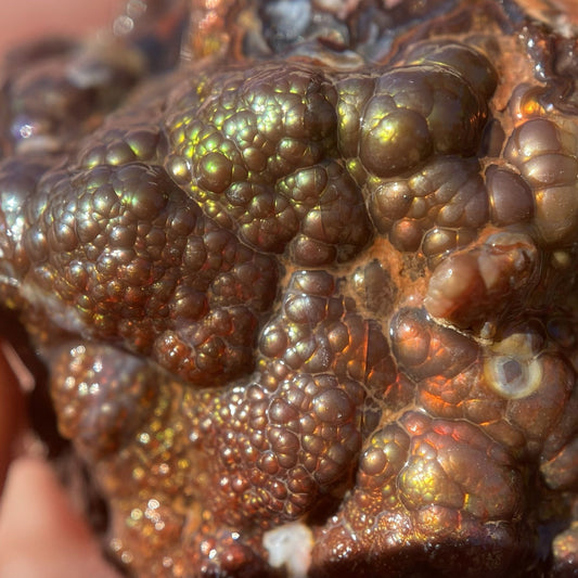 Close-up of a fire agate rough gemstone from Calvillo Aguascalientes Mexico